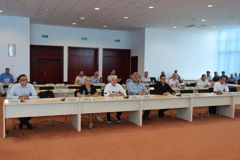 Consiliul Județean Arad construiește un nou pod