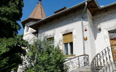 Vila istorică din Parcul Brătianu, scoasă la licitație