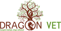 DRAGONVET SRL
