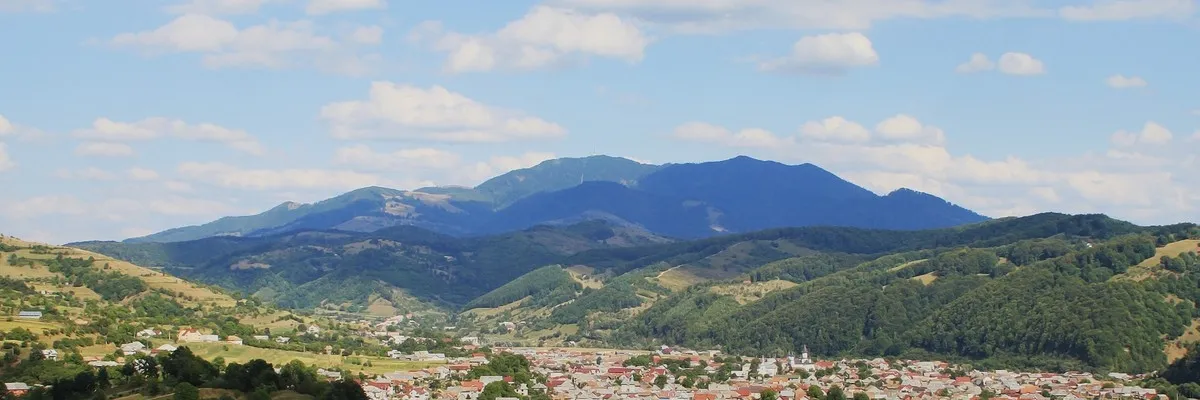 PRIMĂRIA FELDRU
