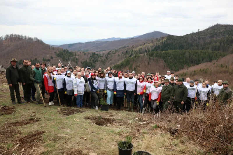 A treia ediție a Campaniei “Împădurim Maramureșul” a avut loc astăzi la Ocolul Silvic Târgu Lăpuș