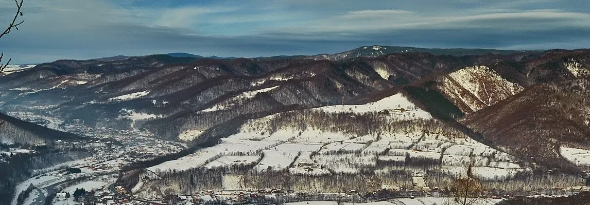 PRIMĂRIA RĂSTOLIŢA