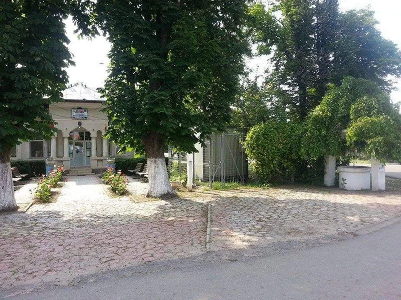 Viziune de Primar: Măgureanu Viorel-Marius, primarul comunei Ștefan cel Mare, județul Olt