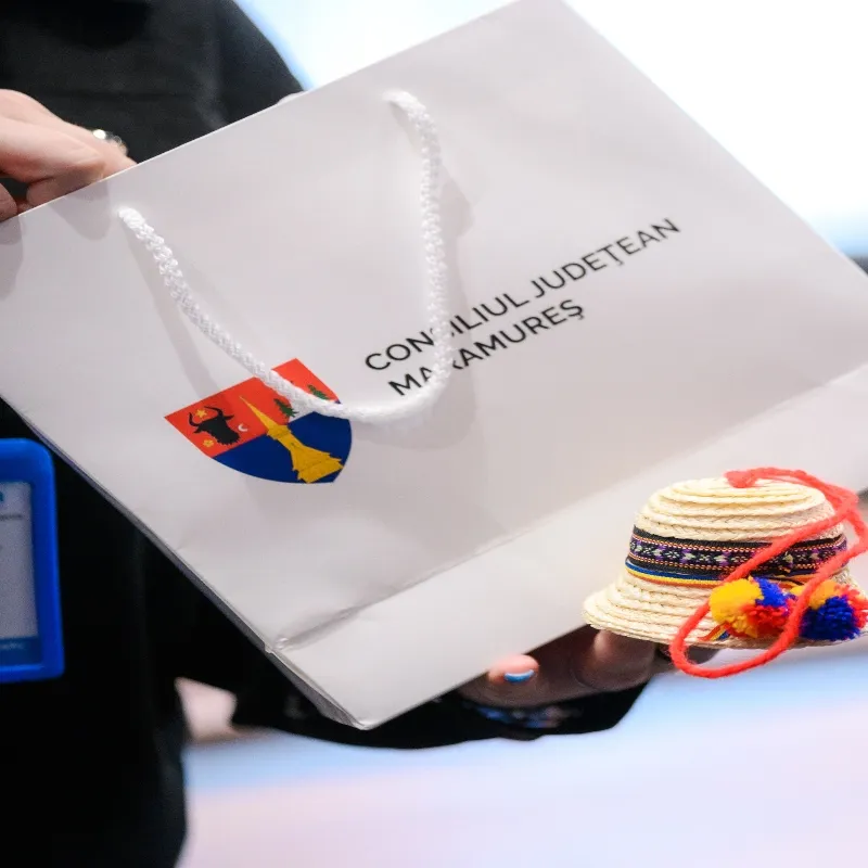 Delegație din partea UNHCR – Înaltul Comisariat ONU pentru Refugiați în vizită la  Consiliul Județean Maramureș