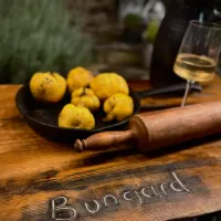 BUNGARD GASTRO LOCAL