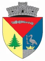 PRIMĂRIA GROŞII ŢIBLEŞULUI