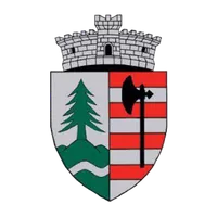 PRIMĂRIA BRĂDEŞTI