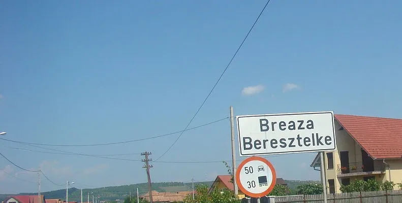 PRIMĂRIA BREAZA