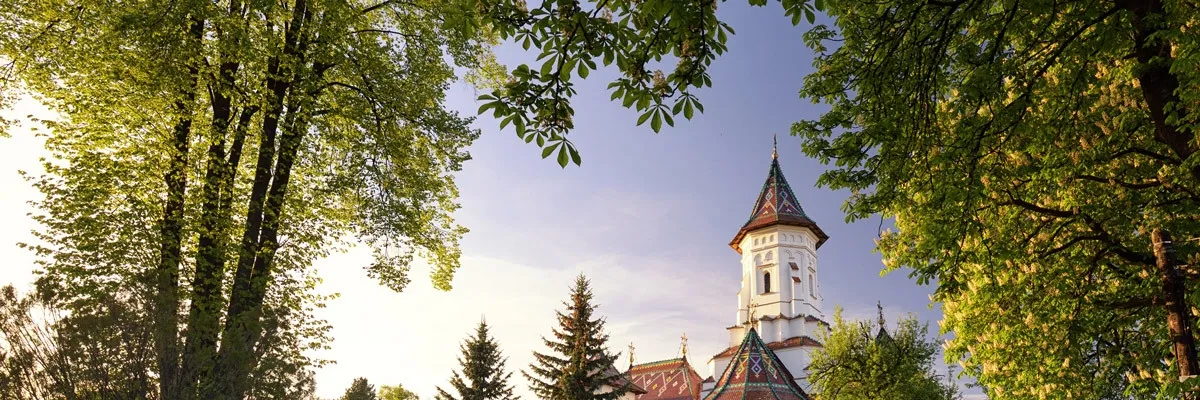 PRIMĂRIA CÂMPULUNG MOLDOVENESC