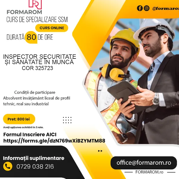 CURS ON LINE INSPECTOR SSM