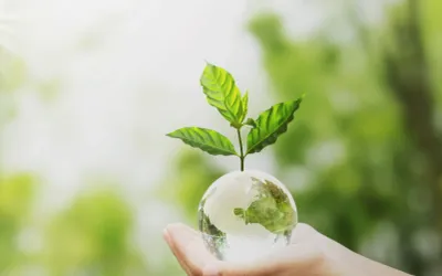 De la deșeu la materie primă. Cum face Expert Recycling managementul și valorificarea deșeurilor