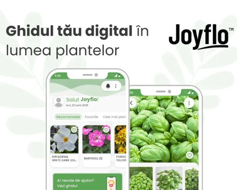 Qualiplant anunță lansarea Joyflo în România