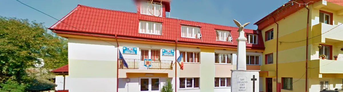 PRIMĂRIA VIŞANI