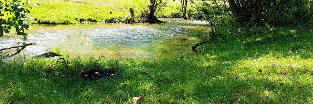 PRIMĂRIA ALBEŞTII DE MUSCEL