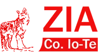 ZIACO IO-TE SRL