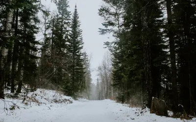 Circulație rutieră închisă pe drumuri județene în sezonul rece