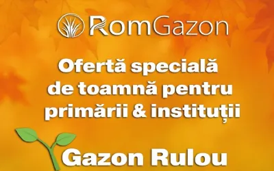 Ofertă specială pentru primării și instituții publice – gazon rulou premium la preț redus