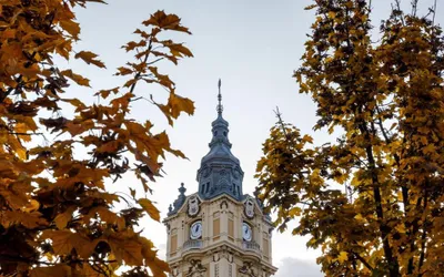 Cu ocazia „Zilei Internaționale a Animalelor Fără Stăpân”, Primăria Municipiului Cluj-Napoca, organizează un eveniment dedicat câinilor fără stăpân.