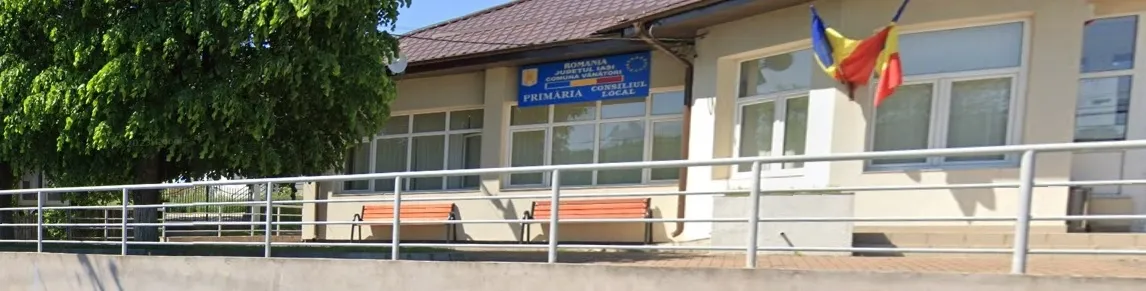 PRIMĂRIA VÂNĂTORI