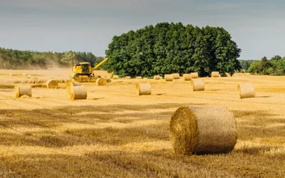 REGISTRU AGRICOL – NOUTATI LEGISLATIVE - CURS ONLINE