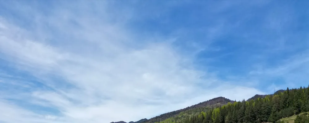 PRIMĂRIA NISTOREŞTI