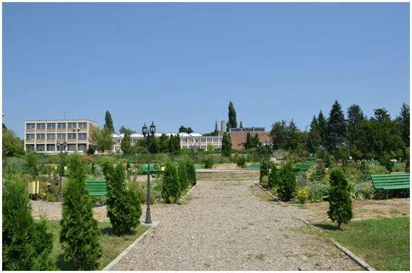 PRIMĂRIA VALEA CĂLUGĂREASCĂ