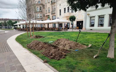 Se refac sistemul de irigații și peluzele din Piața Unirii