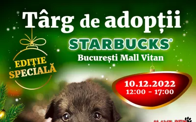 Târg de adopții pentru căței, pe 10 decembrie