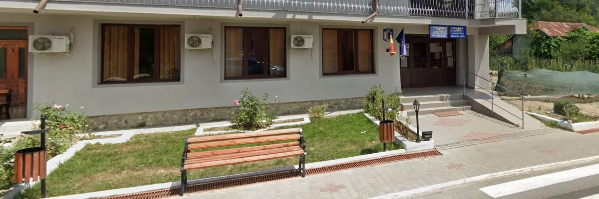 PRIMĂRIA PALTIN