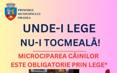 Încă poți să-ți microcipezi câinele gratuit! Amenzile pentru patrupedele fără microcip ajung până la 10 mii de lei