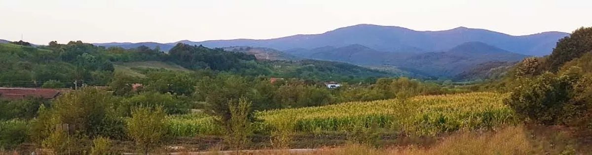 PRIMĂRIA HĂŞMAŞ