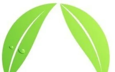 GREEN INCORPORATED SRL