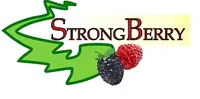 STRONG BERRY SRL