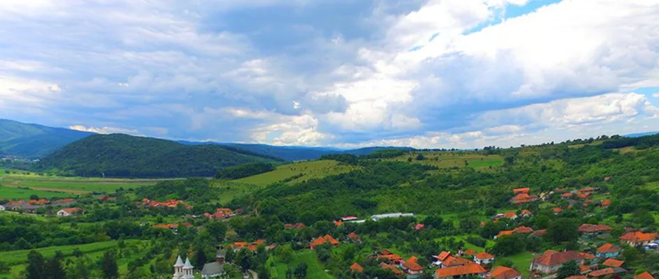 PRIMĂRIA BRĂNIŞCA