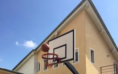 Consola baschet cu stalp, panou, inel si plasa