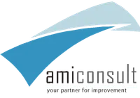 AMI CONSULT SRL