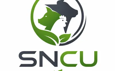 COLECTAREA, TRANSPORTUL, NEUTRALIZAREA, ELIMINAREA DESEURILOR TIP SNCU