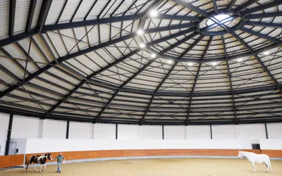 Premieră pentru România, în Maramureș! Primii copii cu nevoi speciale s-au înscris ieri la Althera, unicul centru de terapii alternative din țară