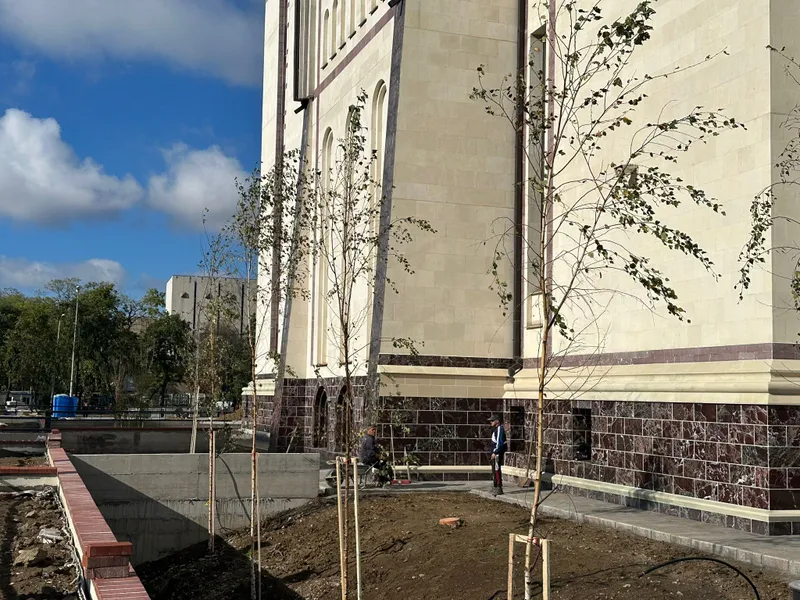 Piața Emanuil Gojdu: au început plantările de arbori deasupra  rețelei de pasaje