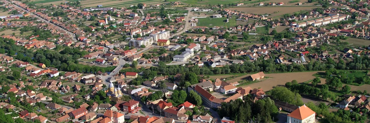 PRIMĂRIA SÂNGEORGIU DE PĂDURE