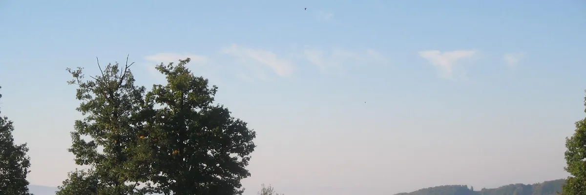 PRIMĂRIA VIMA MICĂ