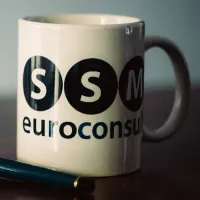 S S M EURO CONSULT SRL