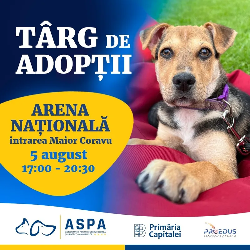 Târg de adopții de căței și pisici, sâmbătă, 5 august