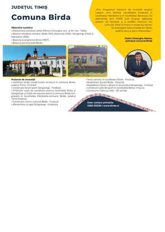 PRIMĂRIA BIRDA