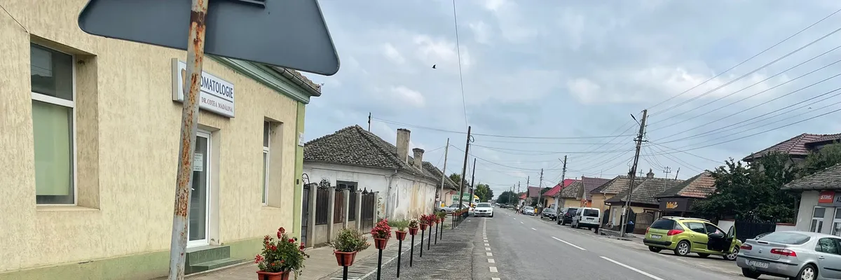 PRIMĂRIA POIANA MARE