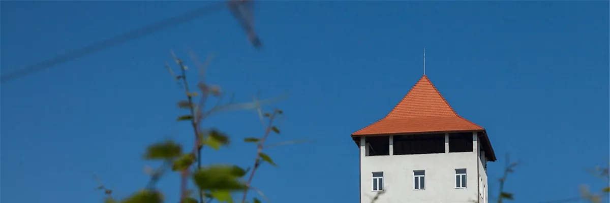 CRAMA VILLA VINEA CASTEL VINUM SRL