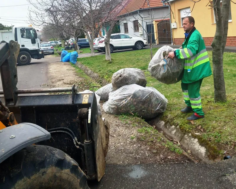 Orădenii de la case și blocuri se pot debarasa gratuit de materialul vegetal în cadrul campaniei de curățenie derulată de  Primăria Oradea