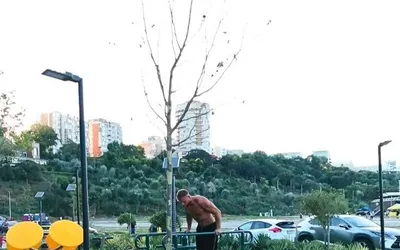 Zonele de fitness în aer liber: necesare în fiecare parc