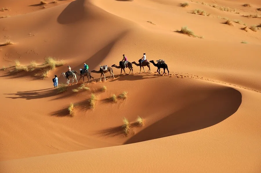 Restart Travel 2020 - 2021 - Egypt