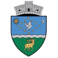 PRIMĂRIA MĂRTINIŞ